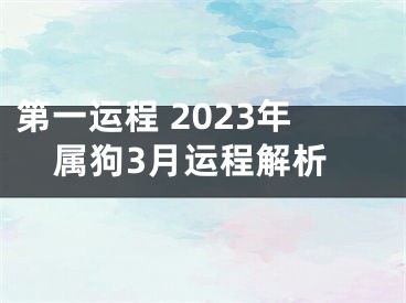 第一运程 2023年属狗3月运程解析