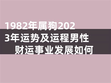 1982年属狗2023年运势及运程男性 财运事业发展如何