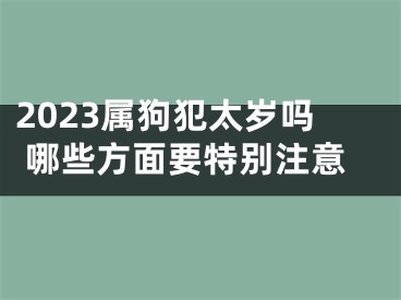 2023属狗犯太岁吗 哪些方面要特别注意