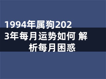 1994年属狗2023年每月运势如何 解析每月困惑