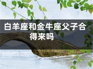 白羊座和金牛座父子合得来吗 
