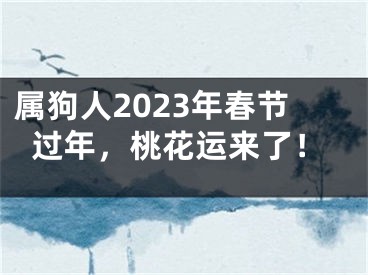 属狗人2023年春节过年，桃花运来了！
