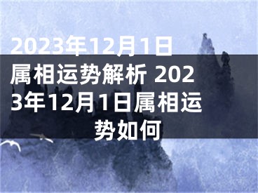 2023年12月1日属相运势解析 2023年12月1日属相运势如何