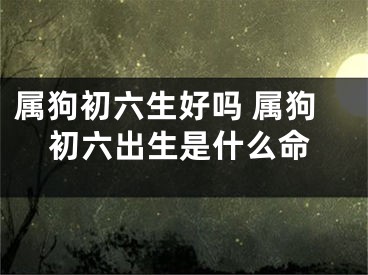 属狗初六生好吗 属狗初六出生是什么命