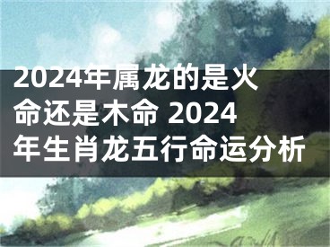 2024年属龙的是火命还是木命 2024年生肖龙五行命运分析