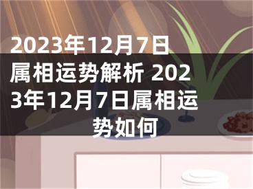2023年12月7日属相运势解析 2023年12月7日属相运势如何