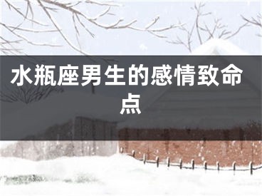 水瓶座男生的感情致命点