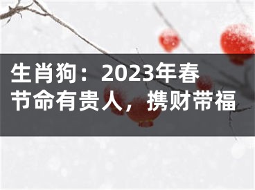 生肖狗：2023年春节命有贵人，携财带福