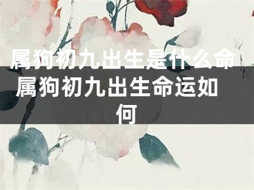 属狗初九出生是什么命 属狗初九出生命运如何