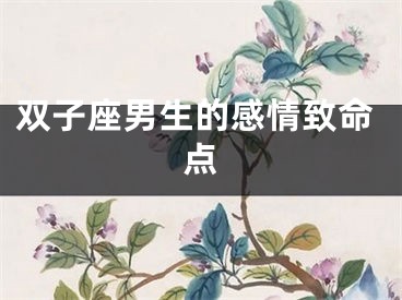 双子座男生的感情致命点
