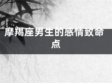 摩羯座男生的感情致命点