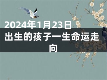 2024年1月23日出生的孩子一生命运走向