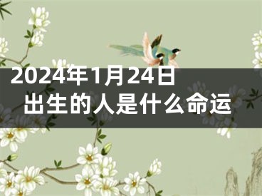 2024年1月24日出生的人是什么命运