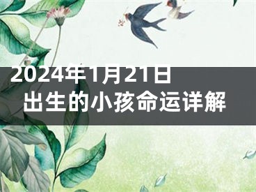 2024年1月21日出生的小孩命运详解
