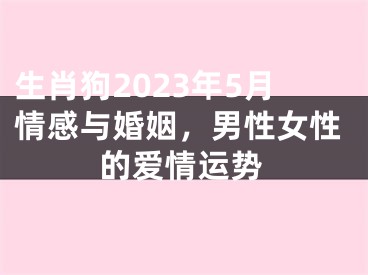 生肖狗2023年5月情感与婚姻，男性女性的爱情运势