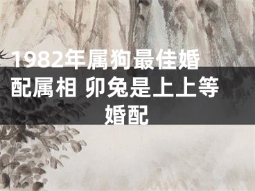 1982年属狗最佳婚配属相 卯兔是上上等婚配