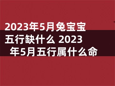 2023年5月兔宝宝五行缺什么 2023年5月五行属什么命