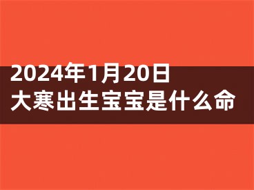 2024年1月20日大寒出生宝宝是什么命