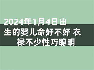 2024年1月4日出生的婴儿命好不好 衣禄不少性巧聪明