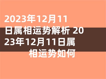 2023年12月11日属相运势解析 2023年12月11日属相运势如何