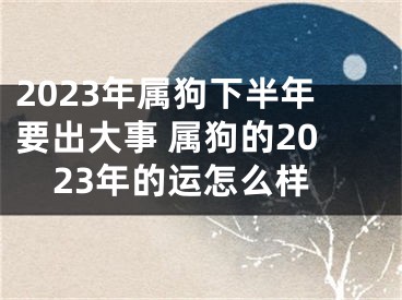 2023年属狗下半年要出大事 属狗的2023年的运怎么样