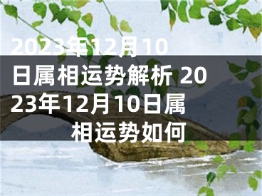 2023年12月10日属相运势解析 2023年12月10日属相运势如何