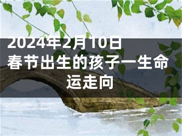 2024年2月10日春节出生的孩子一生命运走向
