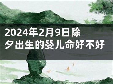 2024年2月9日除夕出生的婴儿命好不好