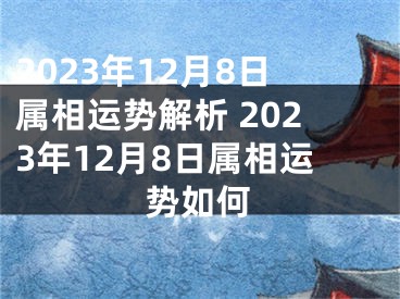 2023年12月8日属相运势解析 2023年12月8日属相运势如何
