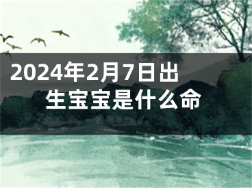 2024年2月7日出生宝宝是什么命