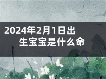 2024年2月1日出生宝宝是什么命