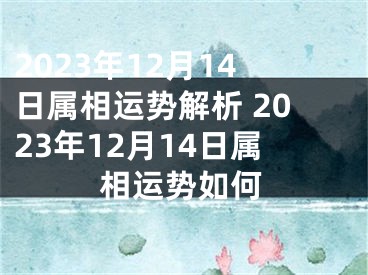 2023年12月14日属相运势解析 2023年12月14日属相运势如何
