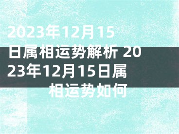 2023年12月15日属相运势解析 2023年12月15日属相运势如何