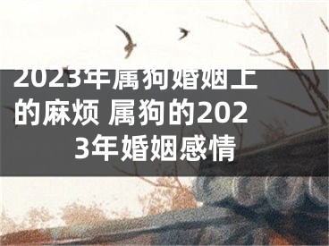 2023年属狗婚姻上的麻烦 属狗的2023年婚姻感情