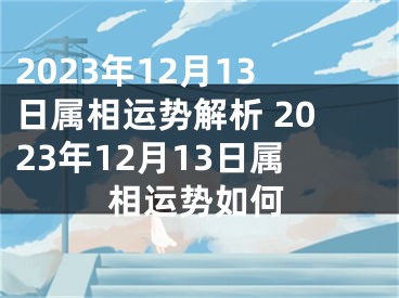 2023年12月13日属相运势解析 2023年12月13日属相运势如何