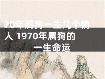 70年属狗一生几个情人 1970年属狗的一生命运