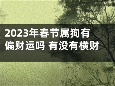 2023年春节属狗有偏财运吗 有没有横财