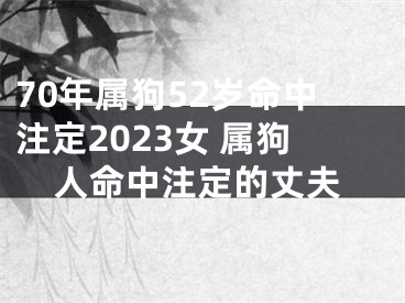 70年属狗52岁命中注定2023女 属狗人命中注定的丈夫
