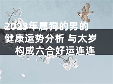 2023年属狗的男的健康运势分析 与太岁构成六合好运连连