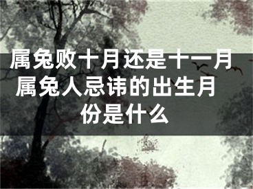 属兔败十月还是十一月 属兔人忌讳的出生月份是什么