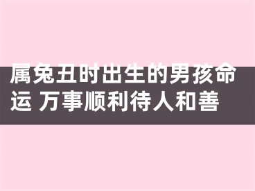 属兔丑时出生的男孩命运 万事顺利待人和善
