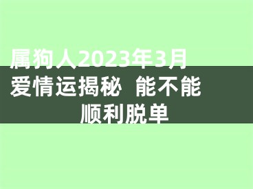属狗人2023年3月爱情运揭秘  能不能顺利脱单