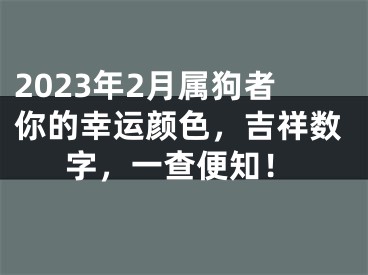 2023年2月属狗者你的幸运颜色，吉祥数字，一查便知！
