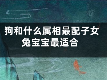 狗和什么属相最配子女 兔宝宝最适合