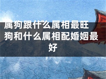 属狗跟什么属相最旺 狗和什么属相配婚姻最好