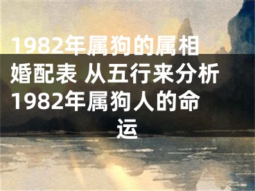1982年属狗的属相婚配表 从五行来分析1982年属狗人的命运