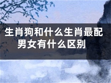 生肖狗和什么生肖最配 男女有什么区别