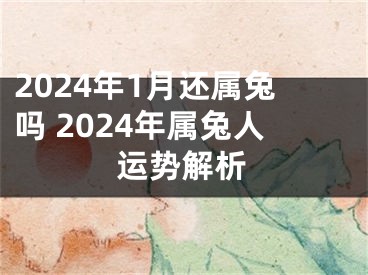2024年1月还属兔吗 2024年属兔人运势解析