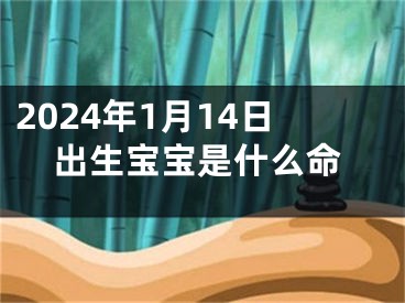 2024年1月14日出生宝宝是什么命