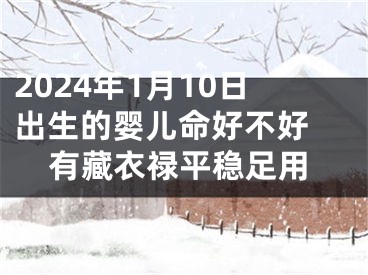 2024年1月10日出生的婴儿命好不好 有藏衣禄平稳足用